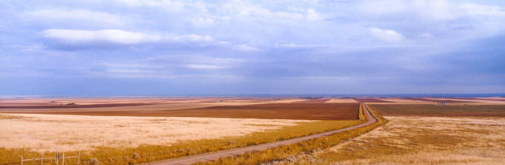 View of wheat fields Carter Chouteau County Montana USA Canvas Art - Panoramic Images (36 x 12)
