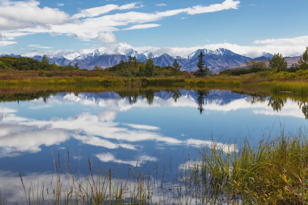 View of the snow capped mountains of the Alaska Range reflected in a pond Fall Denali National Park Interior Alaska USA Canvas Art - Lynn Wegener Design Pics (19 x 12)