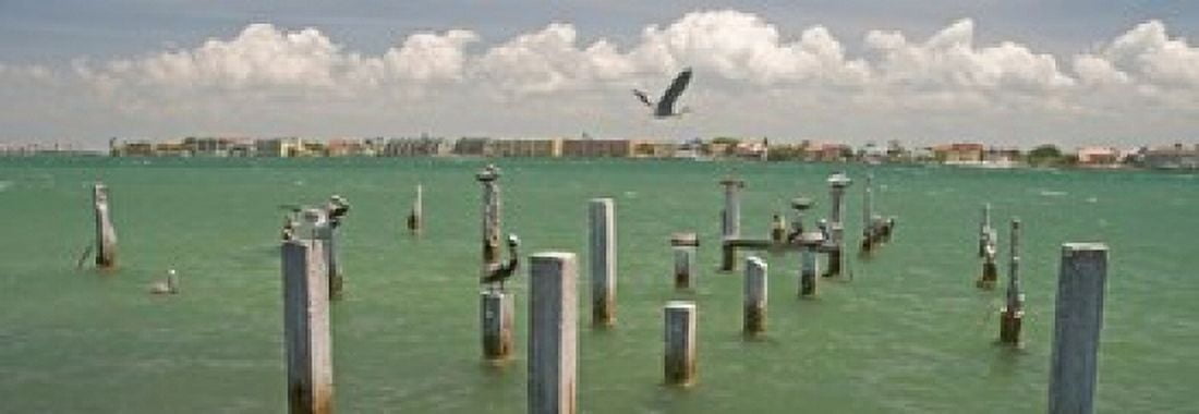 View toward Cabbage Key from St Petersburg in Tampa Bay Area Tampa Bay Florida USA Canvas Art - Panoramic Images (18 x 7)