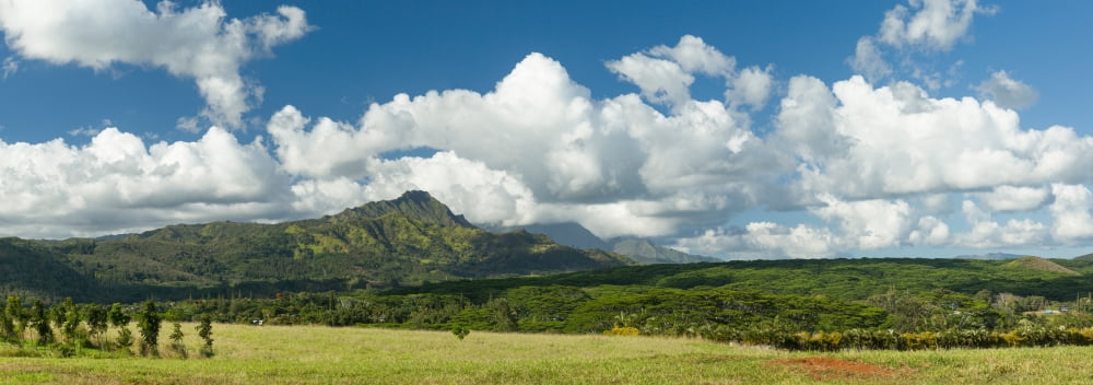 View towards Kapalaoa Peak near Kalaheo Kauai County Hawaii USA Canvas Art - Panoramic Images (7 x 18)