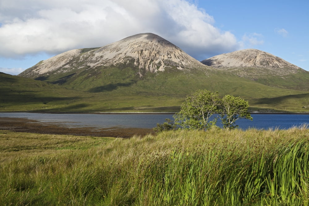 View towards Quillin Hills Isle of Skye Hebrides Scotland Canvas Art - Carl Bruemmer Design Pics (19 x 12)