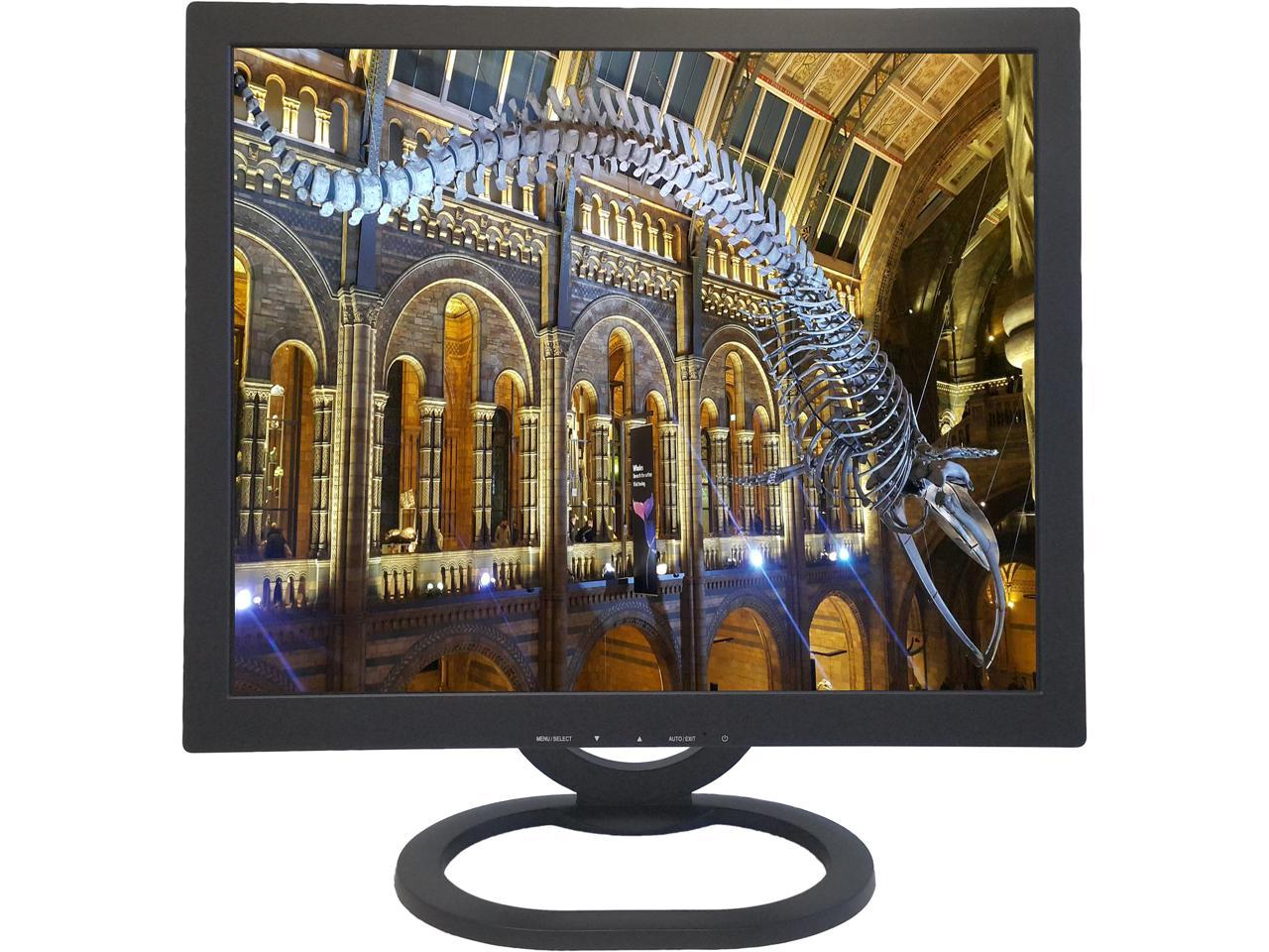 ViewEra 19" Active Matrix, TFT LCD SXGA LCD Monitor 5ms (Typ.) 1280 x 1024 D-Sub, BNC V191BN2 - image 1 of 7