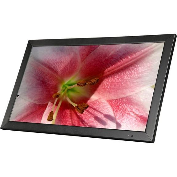 ViewEra 22" (Actual size 21.5") Active Matrix, TFT LCD FHD Metal Case LCD/LED Security Monitor, HDMI, BNC In/Out, USB, D-Sub, PIP, Remote 5 ms 2 x HDMI In, 1 x VGA In, 1 x USB In, 1 x BNC In
1 x BNC O