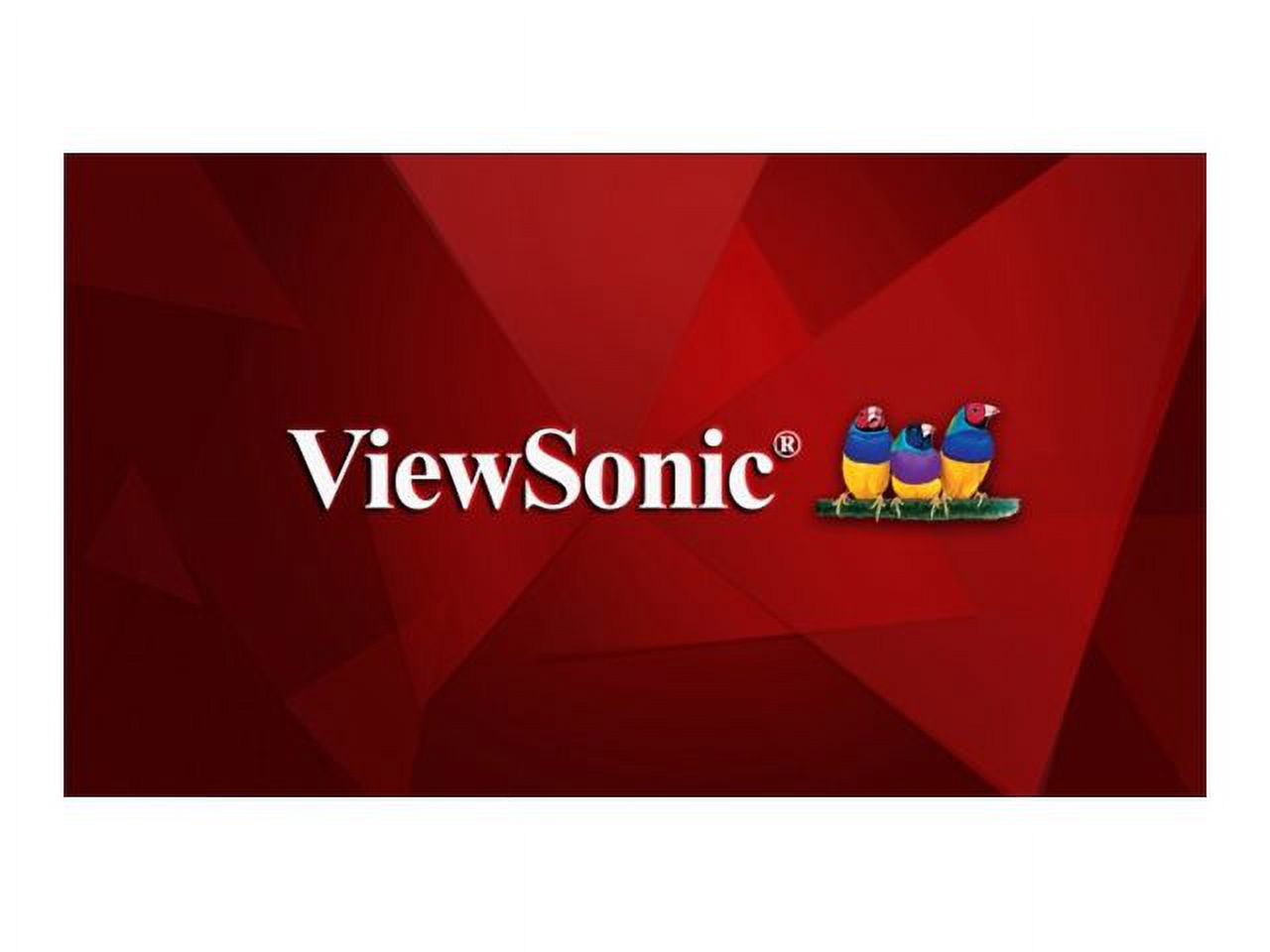 ViewSonic CDE6510 - 65" Diagonal Class (64.5" viewable) LED-backlit LCD display - digital signage - with built-in SoC media player - 4K UHD (2160p) 3840 x 2160 - direct-lit LED - image 1 of 7