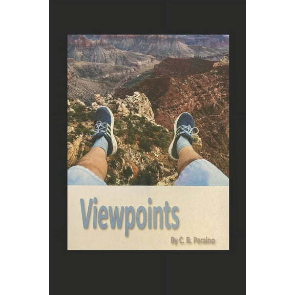 Viewpoints (Paperback)