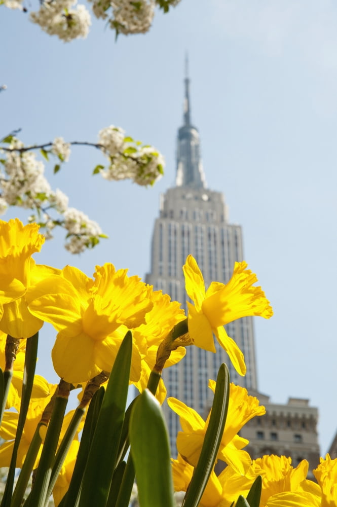 Views Of The Empire State Building And Flowers In Springtime Manhattan New York Usa Canvas Art - Dosfotos Design Pics (12 x 19)