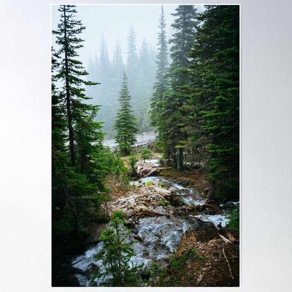 Views Of The Pacific Northwest Trail On Mount Rainier Poster Wall Art, Modern Wall Decor For Living Room Bedroom, 8x12 UNFRAMED
