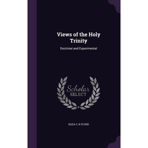 Views of the Holy Trinity : Doctrinal and Experimental (Hardcover)