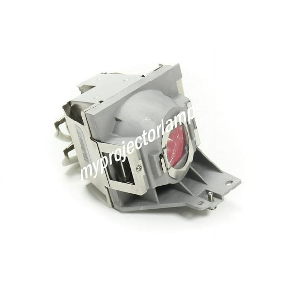 Viewsonic PJD5253 Projector Lamp with Module