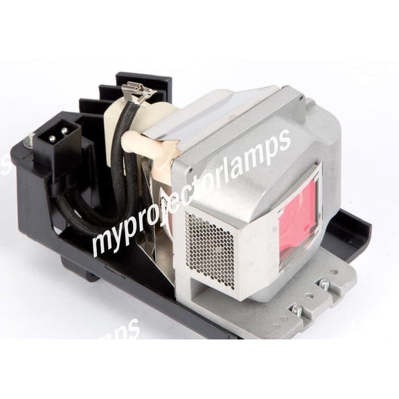 Viewsonic PJD6230 Projector Lamp with Module