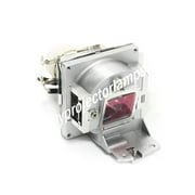 Viewsonic PJD7720HD Projector Lamp with Module