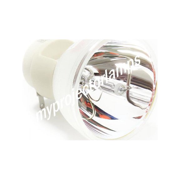 Viewsonic PRO8400 Bare Projector Lamp