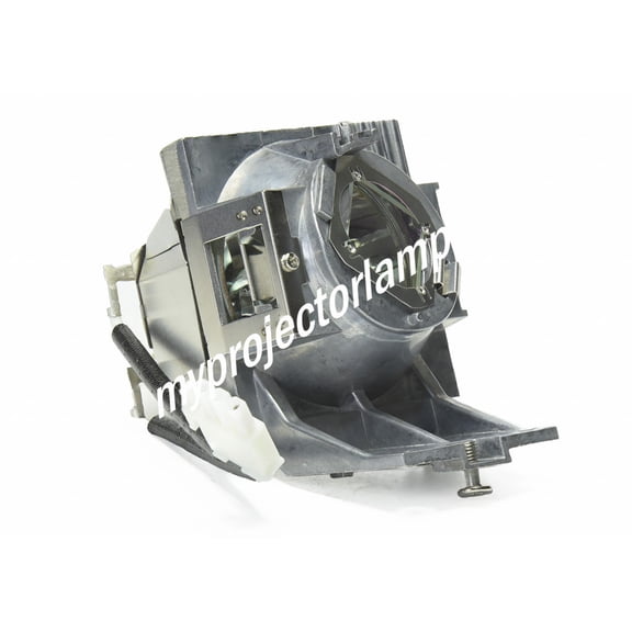 Viewsonic PX747-4K Projector Lamp with Module