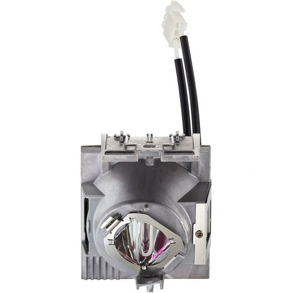 Viewsonic RLC-116 Projector Lamp - Projector Lamp