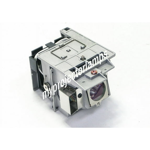 Viewsonic VS16371 Projector Lamp with Module