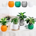 thumbnail image 1 of Viflosae Flower Vases for Bouquet Transparent Hydroponic Small Potted Plant Pots Indoor Living Room Desktop Transparent Hydroponic Plastic Flower Pots A Must For Green Plant Lovers Transpare, 1 of 7
