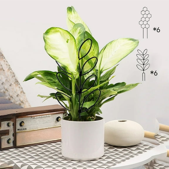 Viflosae Plant Support Garden Stakes Moss Pole Monstera Plant Support Small for Climbing Plants Outdoor Treleaf Plant Trellises