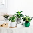 thumbnail image 1 of Viflosae Pots for Plants Transparent Hydroponic Small Potted Plant Pots Indoor Living Room Desktop Transparent Hydroponic Plastic Flower Pots A Must for Green Plant Lovers Transpare, 1 of 8