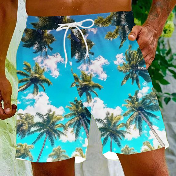 Viikei Men's Shorts with Multiple Colors,Men's Special Print Beach Casual Trouser Shorts Pants Blue L