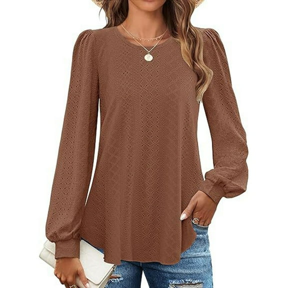 Viikei Women's Casual Sweatshirt Hoodie Fall Winter,Women's Solid Color Round Neck Loose Casual Long Sleeved T-shirt Top Brown XL