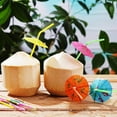 thumbnail image 1 of Vikakiooze 100Pc Umbrella Disposable Bendys Drinking Straws For Luau Hawaii Beaches Party Kitchen Appliances on, 1 of 8