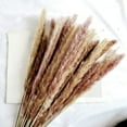 thumbnail image 1 of Vikakiooze 2022 Fall Decorations for Home, Natural Dryness Wedding Bouquet is A Favorite Wedding Color Within The Natural Dried Pampas Grass Decor, 1 of 5