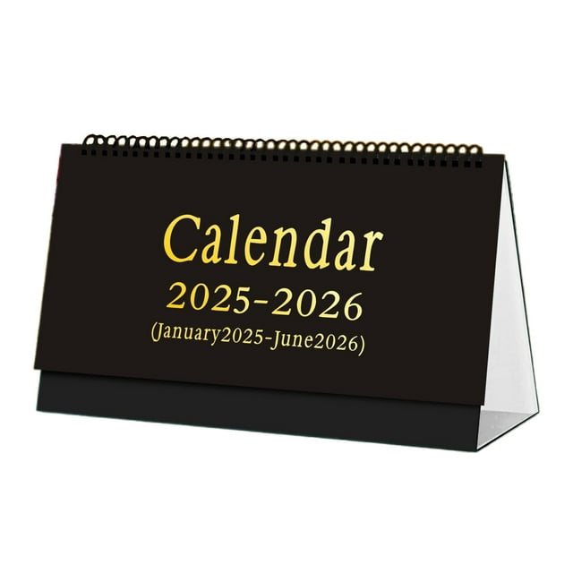 Vikakiooze 2025 Sketchy Desk Calendar Calendar Desktop Memo Small Ornament Memorandum Book ...