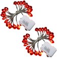 thumbnail image 1 of Vikakiooze 2PC Red Heart Lantern Valentine's Day String Small Lantern Lights, 1 of 9