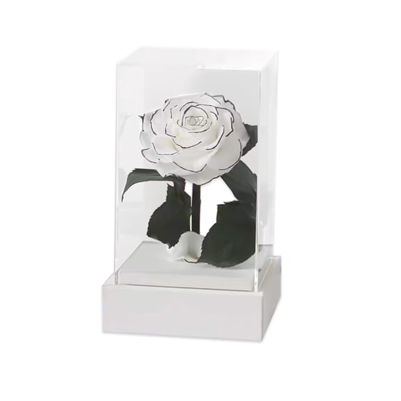 Vikakiooze Easter Decorations, Real Rose Acrylic Eternal Flower Forever Beautiful Love Handmade Gift For Mother Woman Girlfriend Valentine's Day