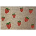 thumbnail image 1 of Vikakiooze Front Entrance Door Mat, Door Mat Summer Floor Mats Door Mats Outdoor Doormat Classroom Decor Teacher Welcome Mat for Outdoor And Indoor Uses, Home Decor, 16X24In, 1 of 8