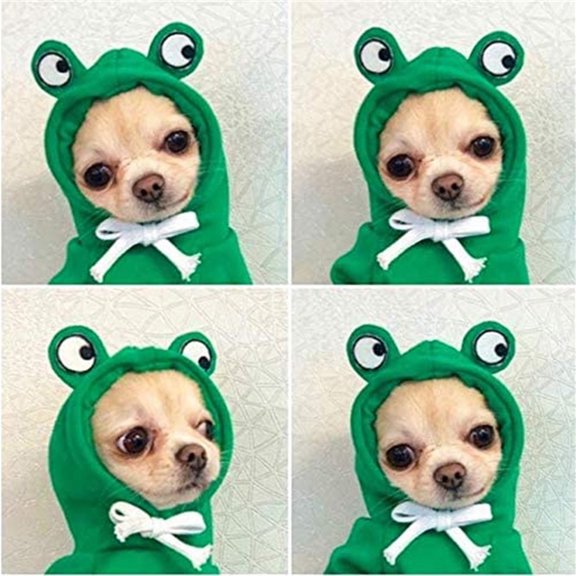 Vikakiooze Fruit Turned Into Dogs, Cats, Dogs, Autumn And Winter Sweaters, Fleece Clothes