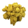thumbnail image 1 of Vikakiooze Home Decor Artificial Green Plant Immortal Fake Flower Moss Grass For Home Living Room Decorative Wall DIY Flower Mini Colorful Accessories, 1 of 3