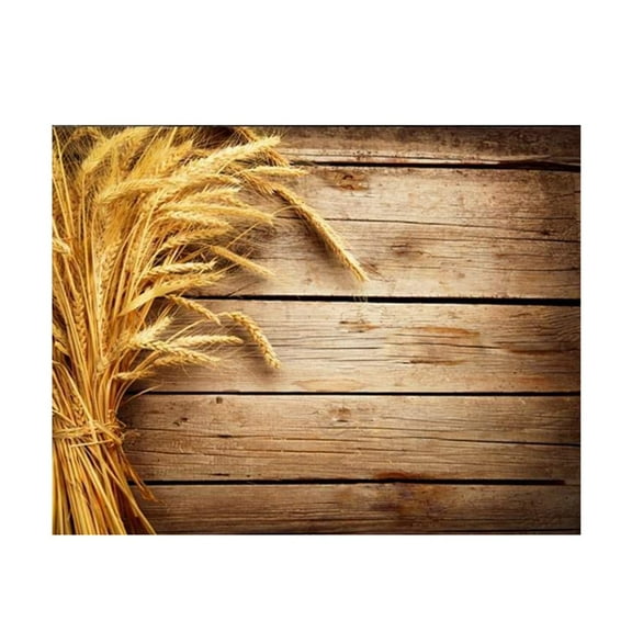 Vikakiooze Home Decor Imitation Wood Grain Photography Props 3D Photo Background Cloth Presentation