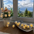 thumbnail image 1 of Vikakiooze Home Decor Under $5, String Lights Battery Operated Indoor With LED Light White Roses With Warm Light, 1 of 1