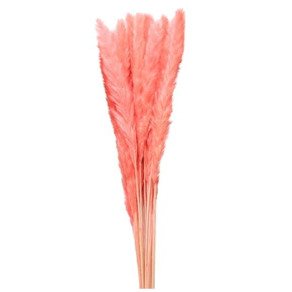 Vikakiooze 2023 White Natural Color Bouquet Of Small Re-ed Grass Dried Flower Decoration
