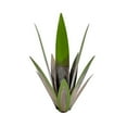 thumbnail image 1 of Vikakiooze Metal Tequila Country Sculpture, Wrought Iron Plant Ornament Garden Ornament Garden Creative Outdoor Decoration Ornament, Diy Tequila Plant, 1 of 8