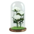 thumbnail image 1 of Vikakiooze Mother's Day Romantic Glass Rose Decoration Home Furnishing Holiday Gifts, 1 of 1