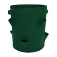 thumbnail image 1 of Vikakiooze Strawberry Grow Bag, Strawberry Planting Bag Garden Planting Bag Hanging Eight-Hole Green for Balcony Courtyard Gardening, 1 of 8