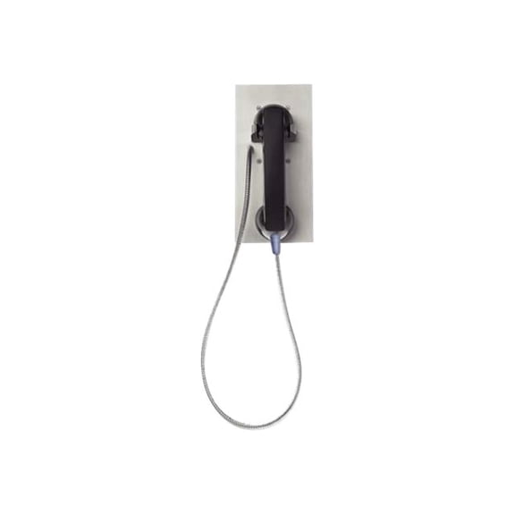 Vandal Resistant, Stainless Steel, Panel Telephone