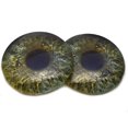 thumbnail image 1 of Viking Ravens Celtic Sage Green Glass Eyes, 1 of 11