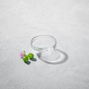 Mini Inch Pinch Mini Glass Pinch Bowls