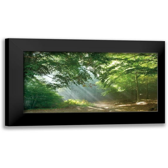 Vila, Toni 14x9 Black Modern Framed Museum Art Print Titled - Morning Break