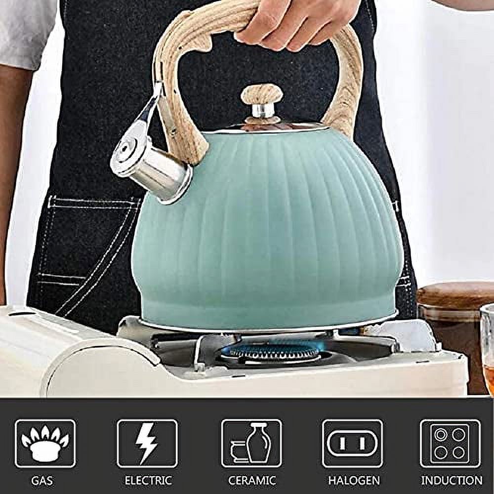 Vilihkc Tea Kettle,3 Quart / 2.8 Stainless Steel Tea Kettles, Food