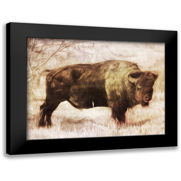 Villa, Milli 14x12 Black Modern Framed Museum Art Print Titled - Buffalo Stance