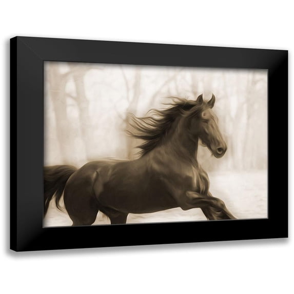 Villa, Milli 14x12 Black Modern Framed Museum Art Print Titled - Horse In The Wind