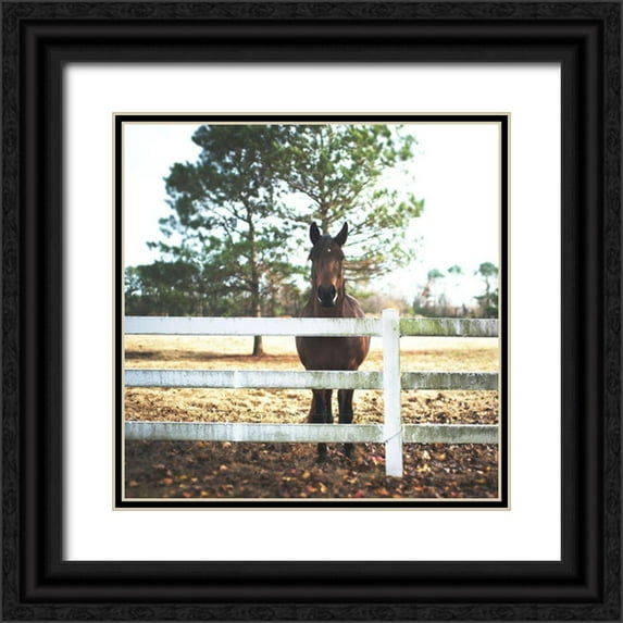Villa, Milli 20x20 Black Ornate Wood Framed with Double Matting Museum Art Print Titled - Horse Look 2