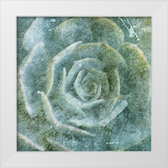 Villa, Milli 20x20 White Modern Wood Framed Museum Art Print Titled - Succulent Through the Fog