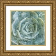 thumbnail image 1 of Villa, Milli 26x26 Gold Ornate Wood Framed with Double Matting Museum Art Print Titled - Succulent Through the Fog, 1 of 4