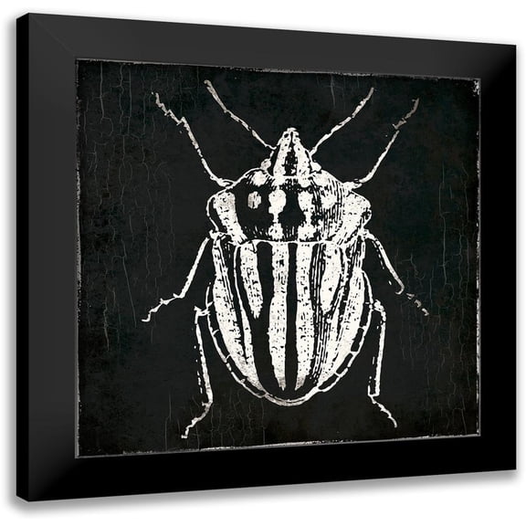 Villa, Mlli 12x12 Black Modern Framed Museum Art Print Titled - Bug Life Three Black