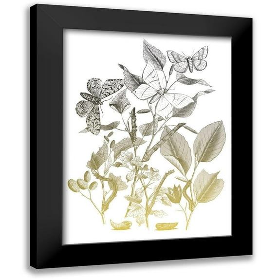Villa, Mlli 12x14 Black Modern Framed Museum Art Print Titled - Flower and Bugs A
